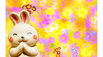 うさぎが寄ってくる音 Youtube