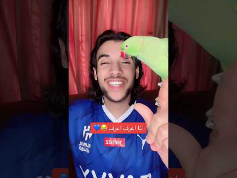 من هو هداف الهلال السعودي التاريخي علي فؤاد طنطل ببغاء متكلم ببغاء تريند الهلال الهلال السعودي