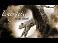 Fast, Energetic Classical Music | 1 hour Classical Music Workout