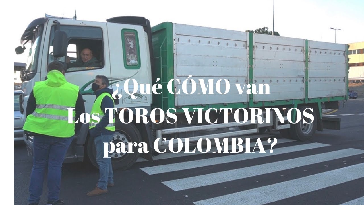 ✈️¡Qué COMO van TOROS VICTORINOS en AVIÓN hasta COLOMBIA?