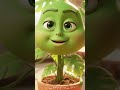 INDOOR TALKING PLANT |INDOOR PLANT| DECORATIVE PLANT ☘️ #indoorplants , #plants , #houseplants ,