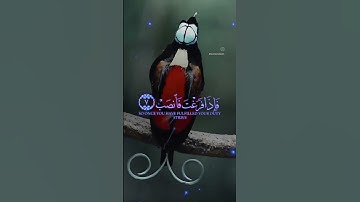 #الله #دعاء #لايك #اذكار #ترند #اكسبلور #قرآن_كريم_راحة_نفسية #دعاءالفجرالمستجاب #تيك_توك