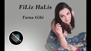 Filiz Halis - Turna Gibi Resimi