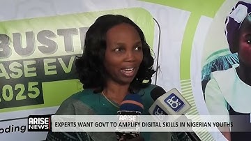 EXPERTS WANT GOVT TO AMPLIFY DIGITAL SKILLS IN NIGERIAN YOUTHS
