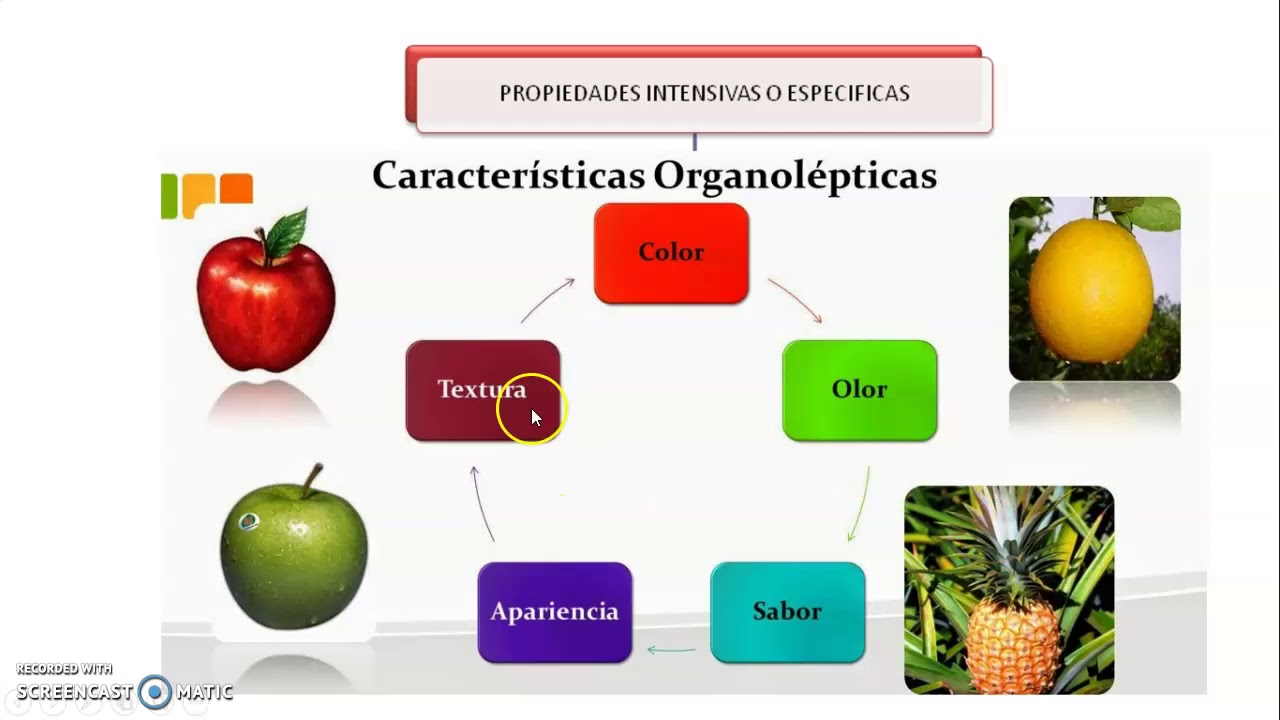 1RO SECUND propiedades intensivas y extensivas de la materia quimica