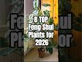 8 Top Feng Shui Plants For 2026 Plants Houseplants Home Indoorplants Gardening Garden