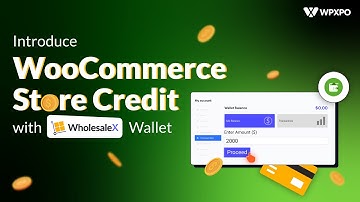 How to introduce WooCommerce Store Credit (Quick and Easy)