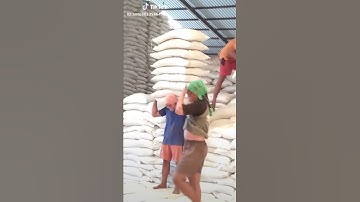 Kuli Terkuat Di indonesia #TikTok