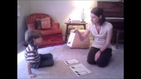 Introduction to The Beginning Violinist: A Companion Book for Children and Adults