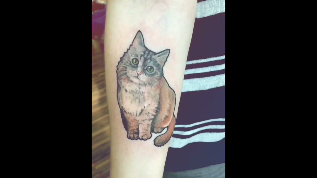 Тату котик 