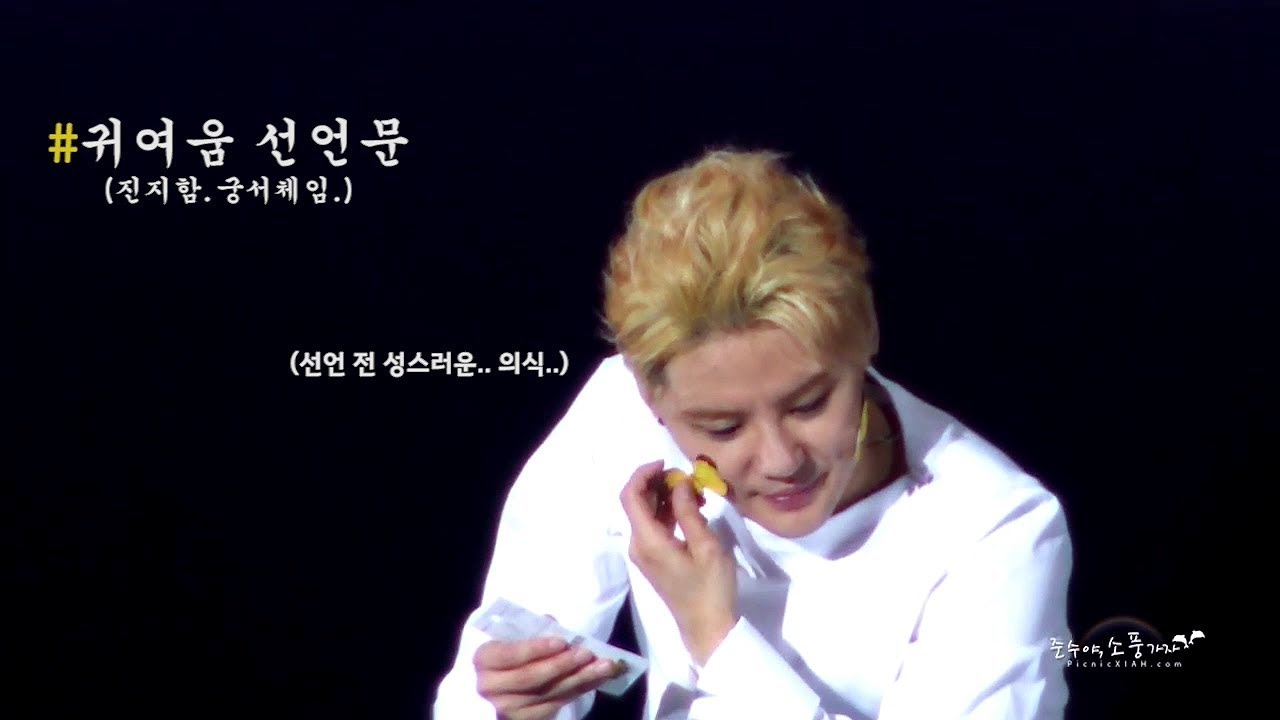 시아준수 선언문 시리즈 (광대로 성층권 뚫기 가능)