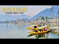 Srinagar kashmir  srinagar tourist places  dal lake  houseboat  srinagar tour  kashmir tour