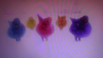 The Boohbahs Swing Their Arms To “Is That All You Can Haul?”