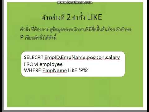 คําสั่ง like sql  2022  ภาษาSQL คำสั่ง LIKE