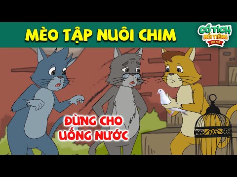 #1 MÈO TẬP NUÔI CHIM | Truyện Cổ Tích Hay Nhất – Phim Hoạt Hình | QUÀ TẶNG CUỘC SỐNG Mới Nhất