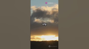 The Phoenix: A Mythical Bird #mysteries #mystery #unsolvedmystery #mysterious #mythicalcreatures