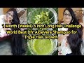 1Month 6 Inch Long Hair Challenge (Week 4)World Best DIY AloeVera Shampoo| एलोयवीरा शैम्पू
