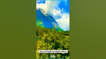تلاوة خاشعة بصوت القارئ فارس عباد
