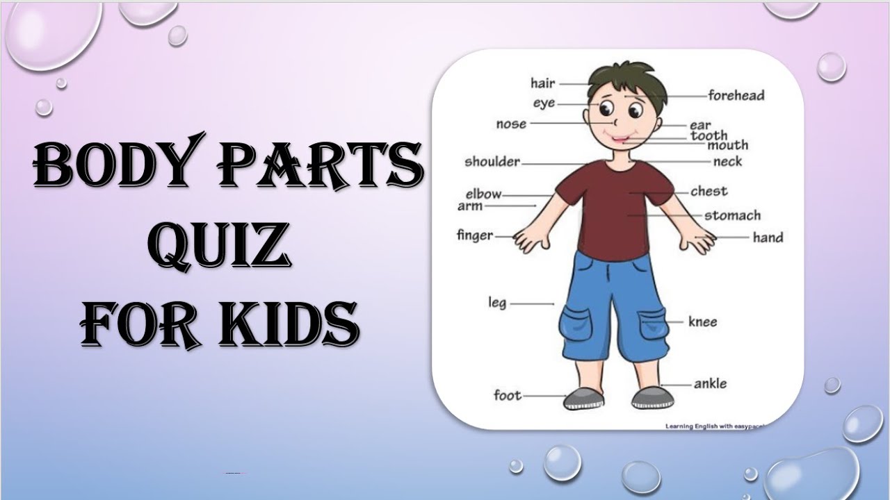 Body Parts For Kids | Learn Body Parts | Body Parts Quiz | Educational  videos - YouTube