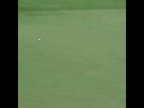 Vídeo: Jordan Spieth tem um filho?