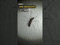 This is personal now 💀 #brainrot #pov #funny #viral