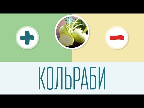 Кольраби. Плюсы и минусы