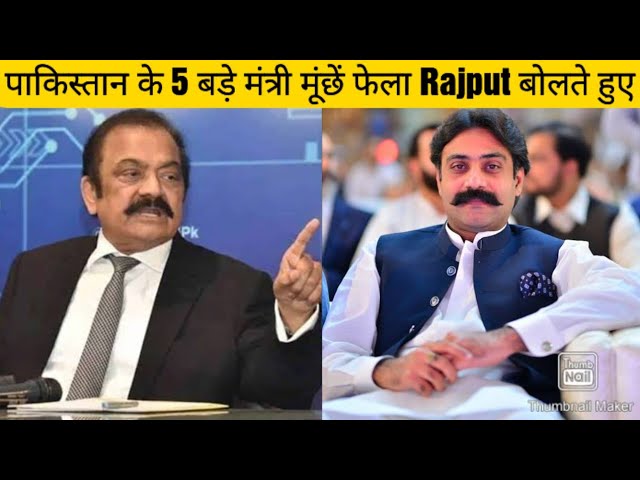 Pakistan के Top 5 Minister खुलकर Rajput बोलते हुए Punjab के Rana Rajput Mna MPA Minister class=