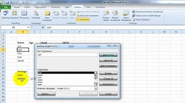 VideoExcel - How to use the spell checker in Excel 2010 like a Pro