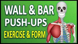 Wall & Bar Push-Ups: Strengthen Your Arms and Chest | Push Muscles