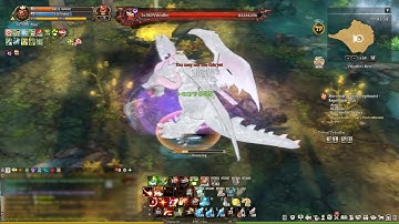 Tree of Savior - Solo Velcoffer