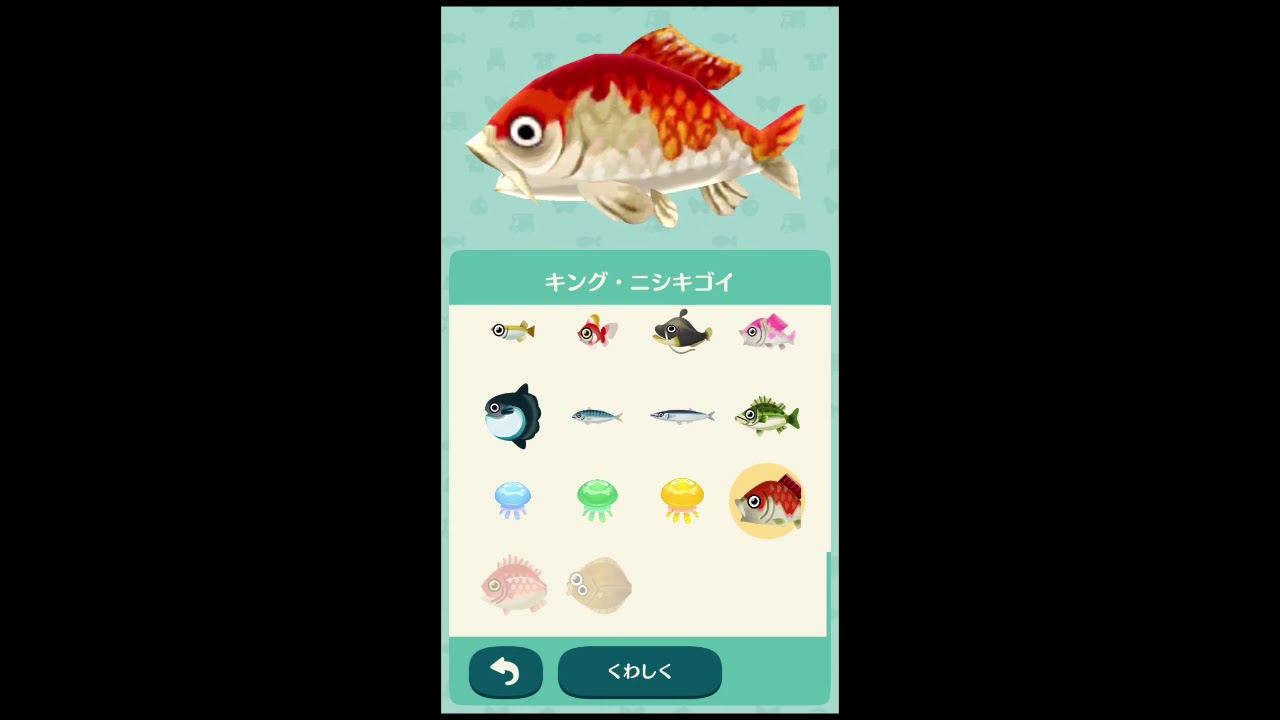 どうぶつの森ポケットキャンプ キング ニシキゴイ Youtube