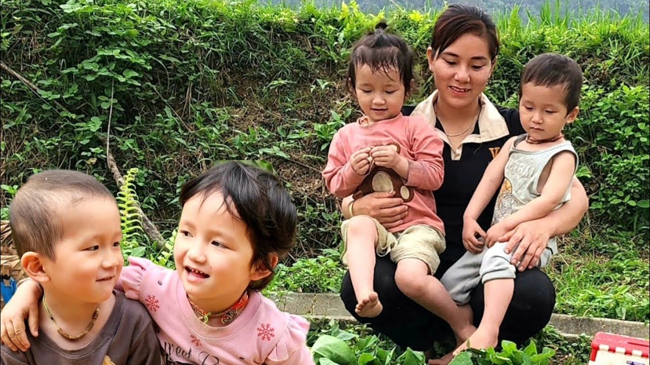 Single mother: harvesting cucumbers to sell at the market-building ...