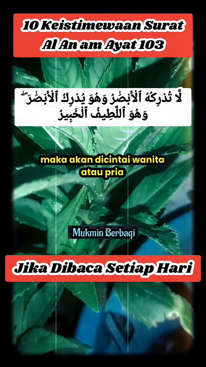 10 Keistimewaan Surat Al An am Ayat 103, Mulai Rezeki, Pengasihan sampai Pengobatan.