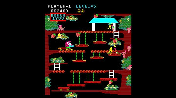 Arcade Longplay - Kangaroo (1982) Sun Electronics