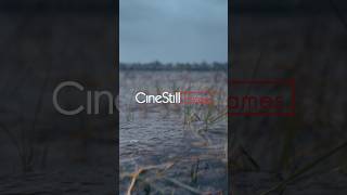 CineStill Frames: Erika Larsen