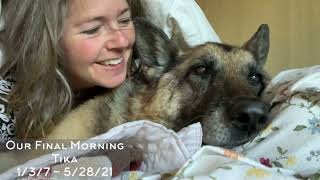 Our Final Morning Together -Tika's Departure Date to Rainbow Bridge