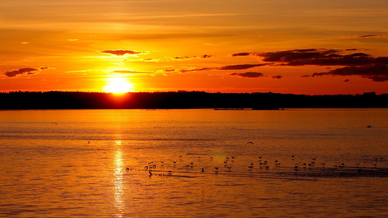 Il Silenzio Nini Rosso (guitar) - Remembrance Poem