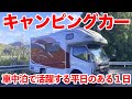 【公園で車中泊】サボりのビジネスマンがキャンピングカーで車中泊する平日のある1日【キャブコン】|親父パンダ