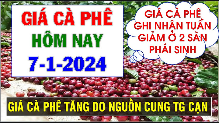 Cập Nhật Giá Cafe Tại Bảo Lộc | Cập Nhật Giá Cafe Mới Nhất Hôm Nay