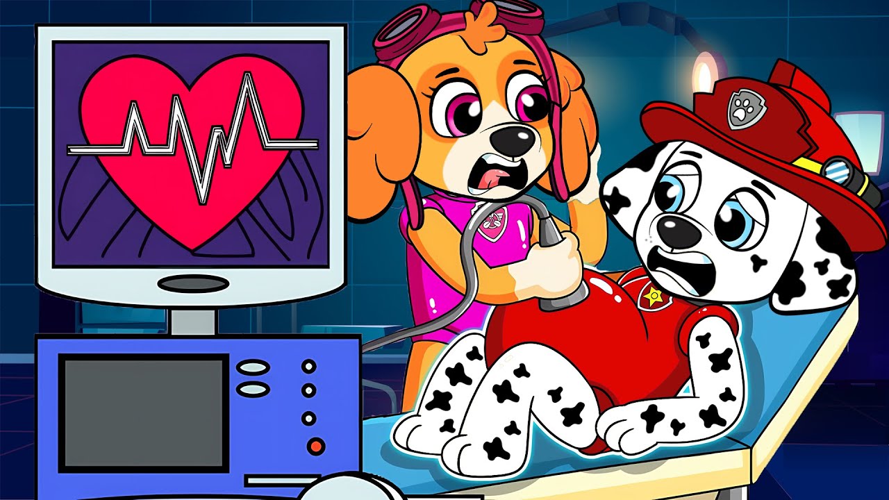 Unbelievable! Is Something Growing Inside Marshall?? | Funny PAW Patrol Story