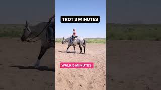 Summer barrel horse warm up routine