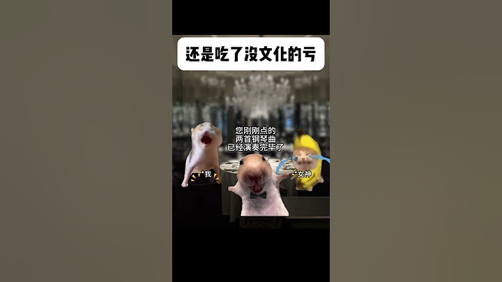 也不是什么都没吃到，至少吃了亏#猫meme #内容过于真实 #funny