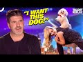 Lucy &amp; Trip Hazard’s DOG ACT Will Blow Your Mind! | Britain’s Got Talent