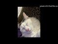 OUTlaws