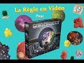 La rgle en vido pour projet gaia  terra mystica