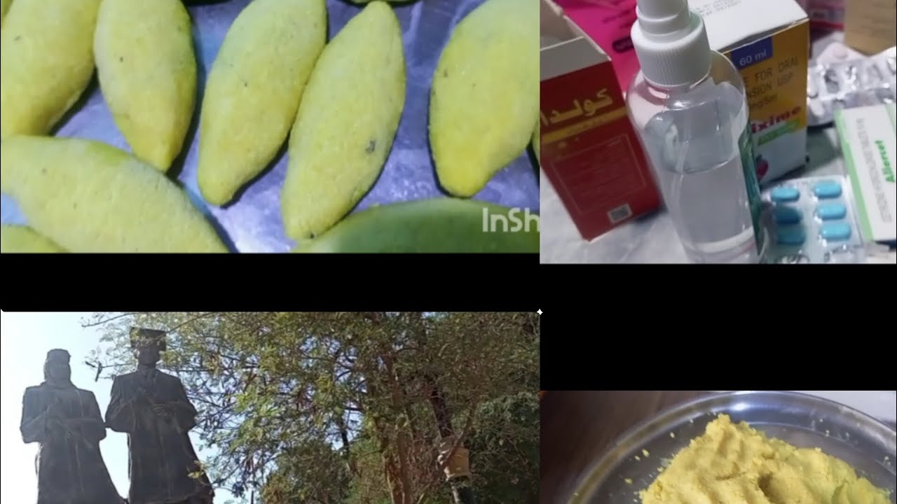 سجلنه اول مرحله كليه🥰ودولمه وافلاونزه،تعبتني😓 وكبه تمن عنبر🥰 لاتبخلون بالايك ...متخسرون حبايب#كيك