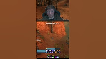 Blizzard Claims Turtle Wow is an "inferior experience" | #niv78 on #Twitch