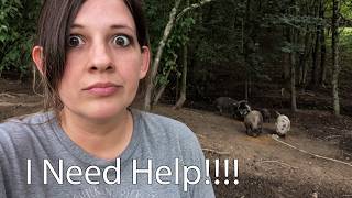She s Nuts
