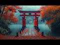 The Garden of Meditation 🔴 Japanese Lofi Music 2024 🔴 No Copyright Lofi Japanese Songs 2024