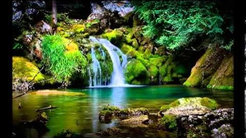 تلاوة عطرة لسورة يوسف بصوت القارئ ياسر الدوسري